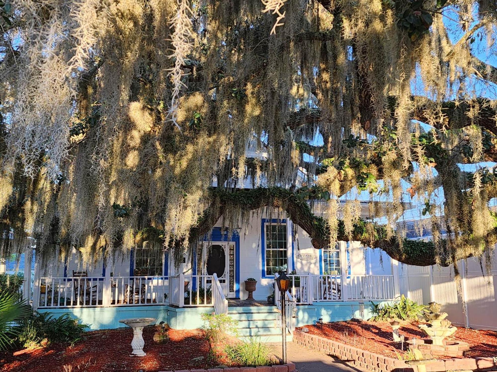 Tybee Island Inn Bed & Breakfast Eksteriør billede
